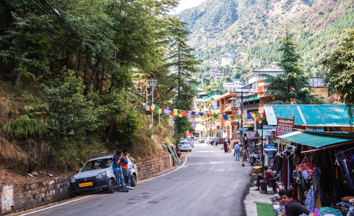Triund trek price, triund trek package, Triund trekking packages, 
